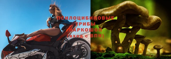 мескалин Новокубанск
