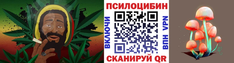 Псилоцибиновые грибы мухоморы  Старая Русса 