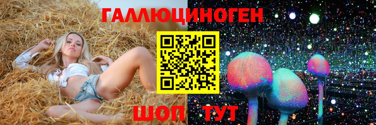 Галлюциногенные грибы прущие грибы Старая Русса