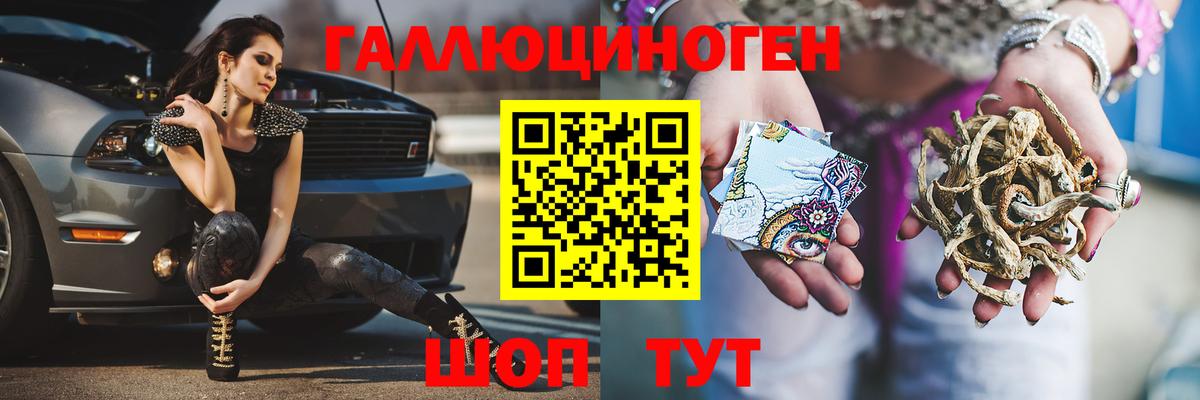 купить   Галлюциногенные грибы Psilocybe  Вход с VPN  Старая Русса 