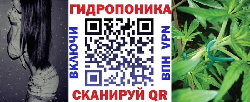 сколько стоит  Старая Русса  Бошки марихуана OG Kush 